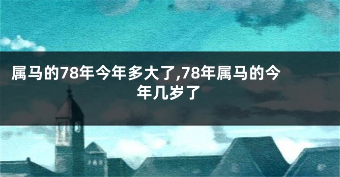 属马的78年今年多大了,78年属马的今年几岁了