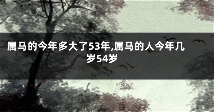 属马的今年多大了53年,属马的人今年几岁54岁