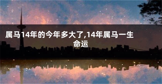 属马14年的今年多大了,14年属马一生命运