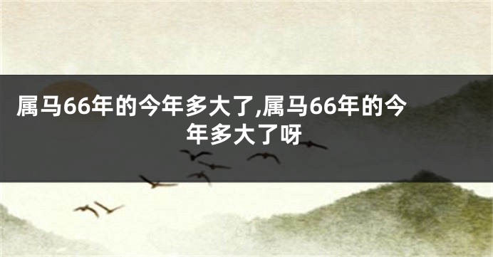 属马66年的今年多大了,属马66年的今年多大了呀