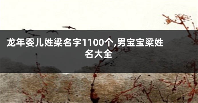 龙年婴儿姓梁名字1100个,男宝宝梁姓名大全