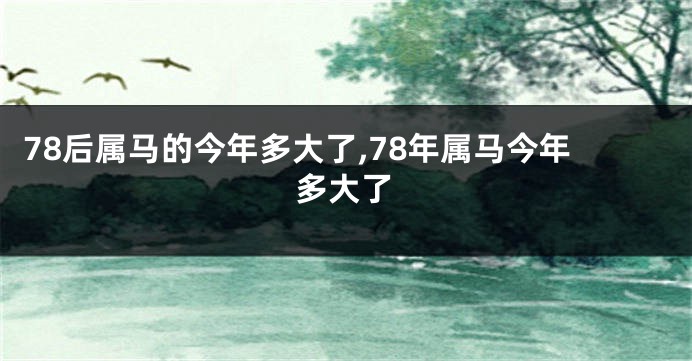 78后属马的今年多大了,78年属马今年多大了