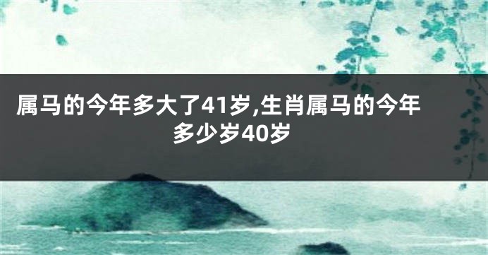 属马的今年多大了41岁,生肖属马的今年多少岁40岁