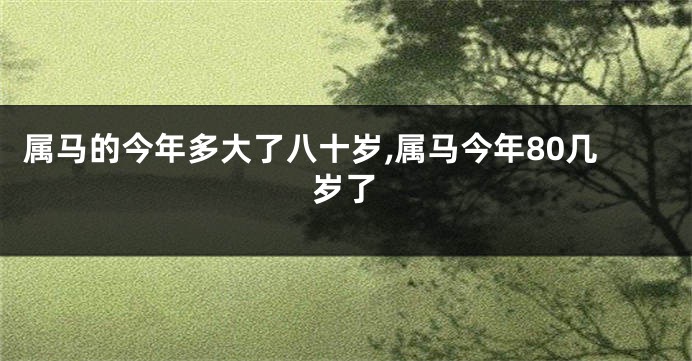 属马的今年多大了八十岁,属马今年80几岁了