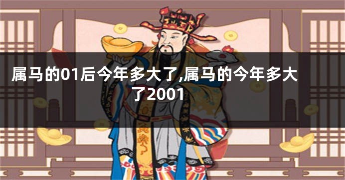 属马的01后今年多大了,属马的今年多大了2001