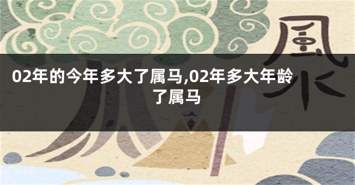 02年的今年多大了属马,02年多大年龄了属马