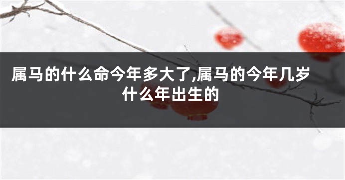 属马的什么命今年多大了,属马的今年几岁什么年出生的