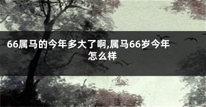 66属马的今年多大了啊,属马66岁今年怎么样