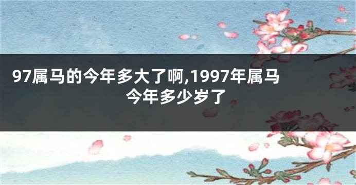 97属马的今年多大了啊,1997年属马今年多少岁了