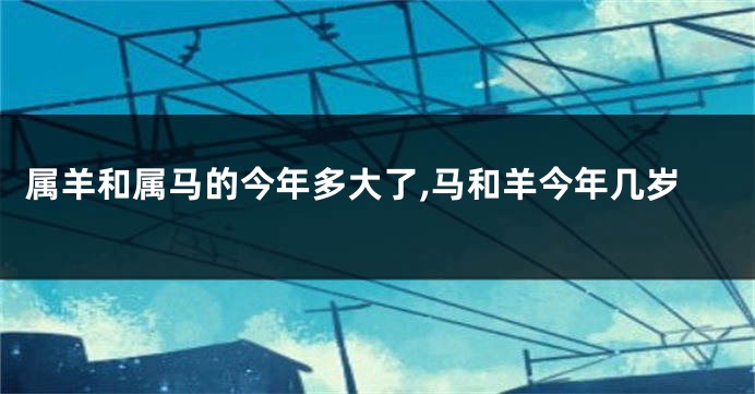 属羊和属马的今年多大了,马和羊今年几岁