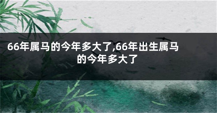 66年属马的今年多大了,66年出生属马的今年多大了