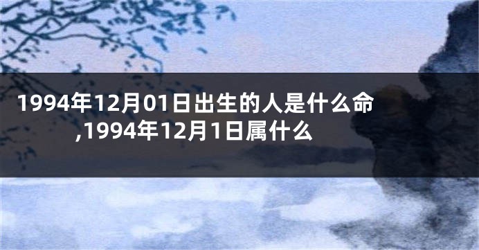 1994年12月01日出生的人是什么命,1994年12月1日属什么