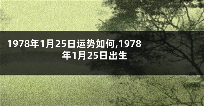 1978年1月25日运势如何,1978年1月25日出生