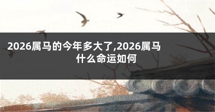 2026属马的今年多大了,2026属马什么命运如何