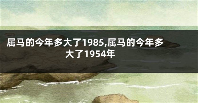 属马的今年多大了1985,属马的今年多大了1954年