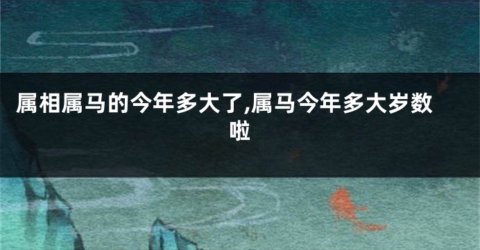 属相属马的今年多大了,属马今年多大岁数啦