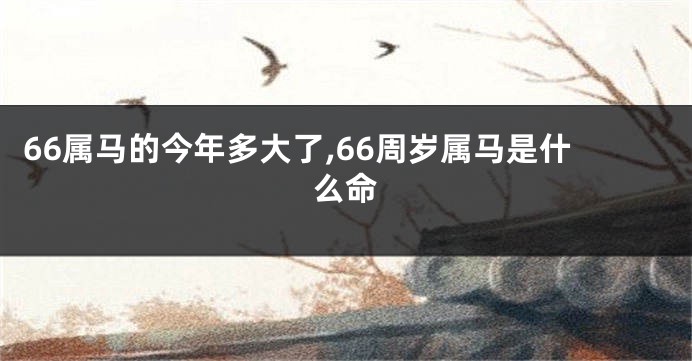 66属马的今年多大了,66周岁属马是什么命