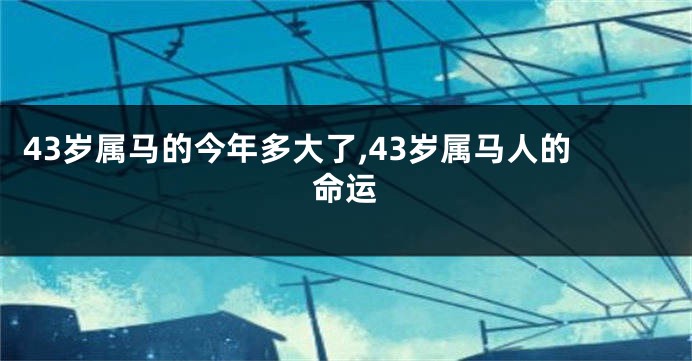 43岁属马的今年多大了,43岁属马人的命运