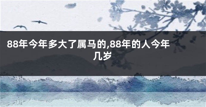 88年今年多大了属马的,88年的人今年几岁