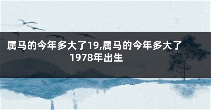 属马的今年多大了19,属马的今年多大了1978年出生