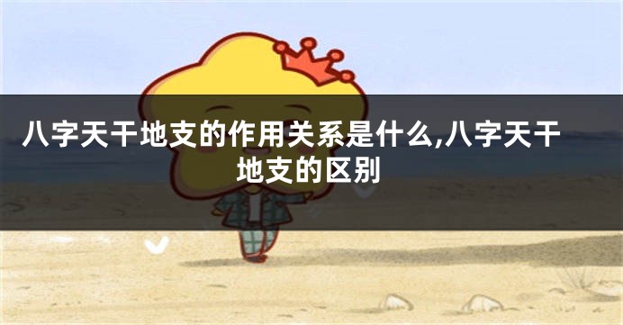 八字天干地支的作用关系是什么,八字天干地支的区别