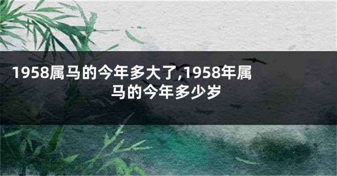 1958属马的今年多大了,1958年属马的今年多少岁