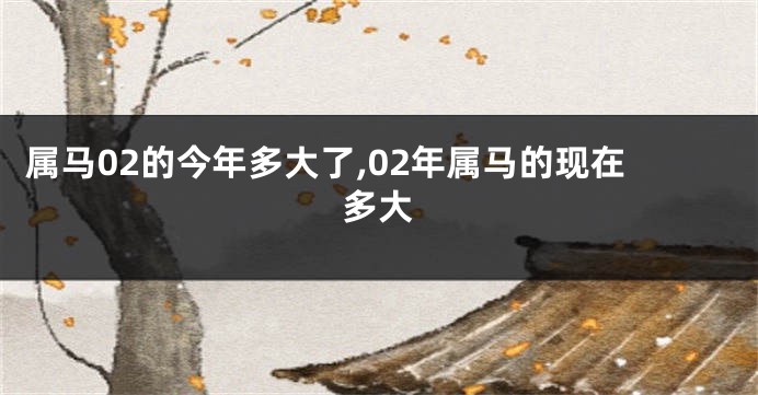 属马02的今年多大了,02年属马的现在多大