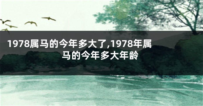 1978属马的今年多大了,1978年属马的今年多大年龄