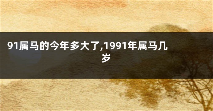 91属马的今年多大了,1991年属马几岁