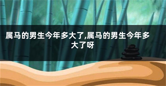 属马的男生今年多大了,属马的男生今年多大了呀