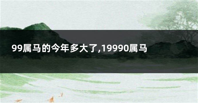 99属马的今年多大了,19990属马