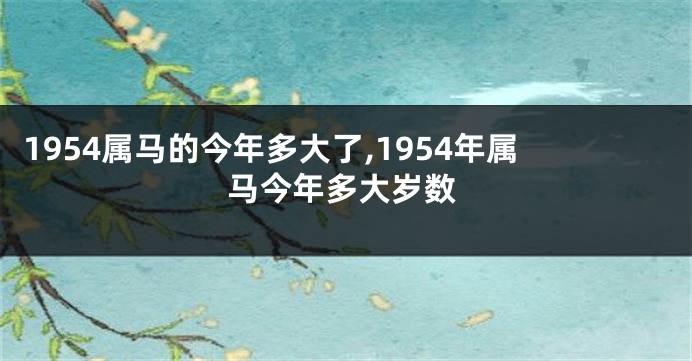 1954属马的今年多大了,1954年属马今年多大岁数