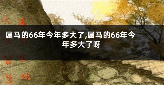 属马的66年今年多大了,属马的66年今年多大了呀