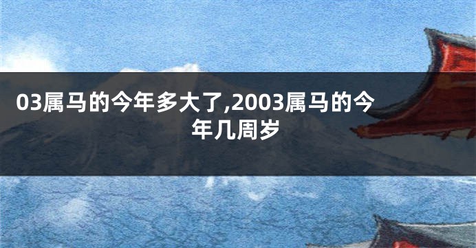 03属马的今年多大了,2003属马的今年几周岁