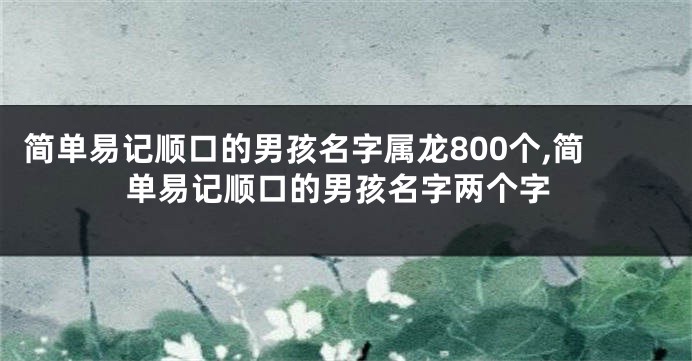 简单易记顺口的男孩名字属龙800个,简单易记顺口的男孩名字两个字