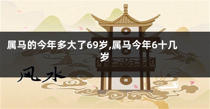 属马的今年多大了69岁,属马今年6十几岁