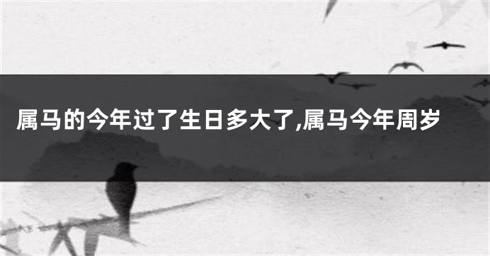 属马的今年过了生日多大了,属马今年周岁