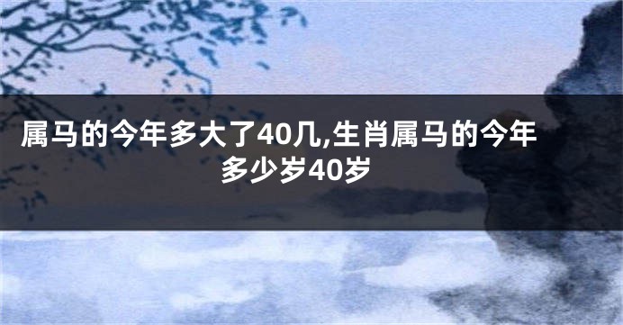 属马的今年多大了40几,生肖属马的今年多少岁40岁