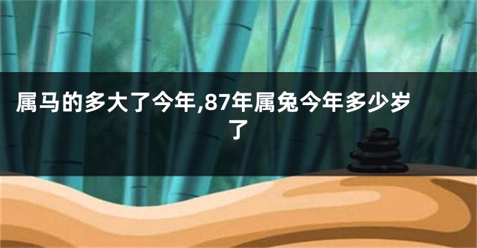 属马的多大了今年,87年属兔今年多少岁了