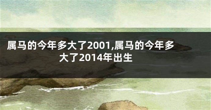 属马的今年多大了2001,属马的今年多大了2014年出生