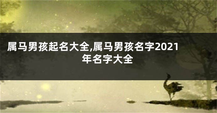 属马男孩起名大全,属马男孩名字2021年名字大全