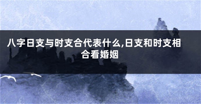 八字日支与时支合代表什么,日支和时支相合看婚姻