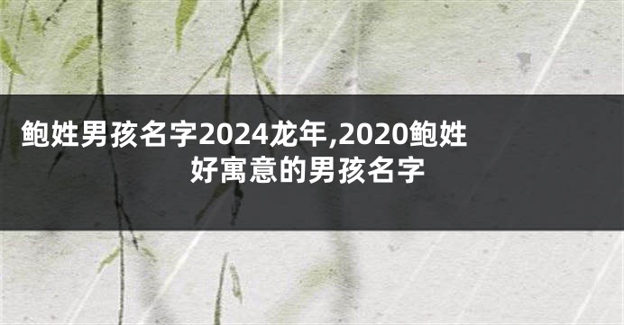 鲍姓男孩名字2024龙年,2020鲍姓好寓意的男孩名字