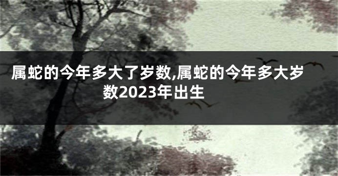 属蛇的今年多大了岁数,属蛇的今年多大岁数2023年出生