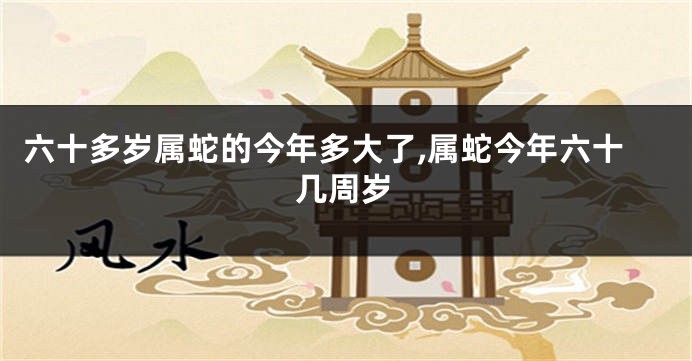 六十多岁属蛇的今年多大了,属蛇今年六十几周岁