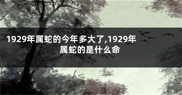 1929年属蛇的今年多大了,1929年属蛇的是什么命