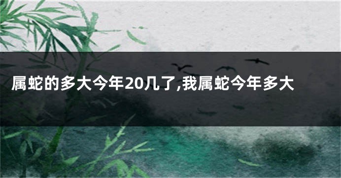 属蛇的多大今年20几了,我属蛇今年多大