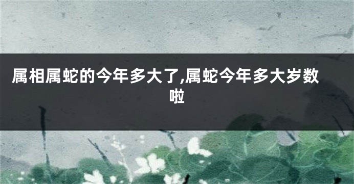 属相属蛇的今年多大了,属蛇今年多大岁数啦