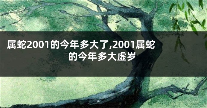 属蛇2001的今年多大了,2001属蛇的今年多大虚岁