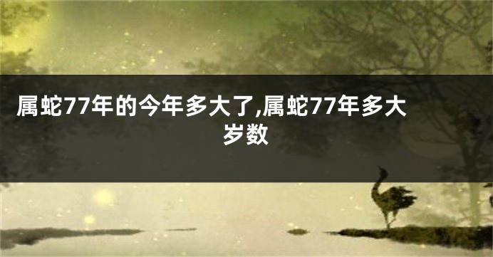 属蛇77年的今年多大了,属蛇77年多大岁数